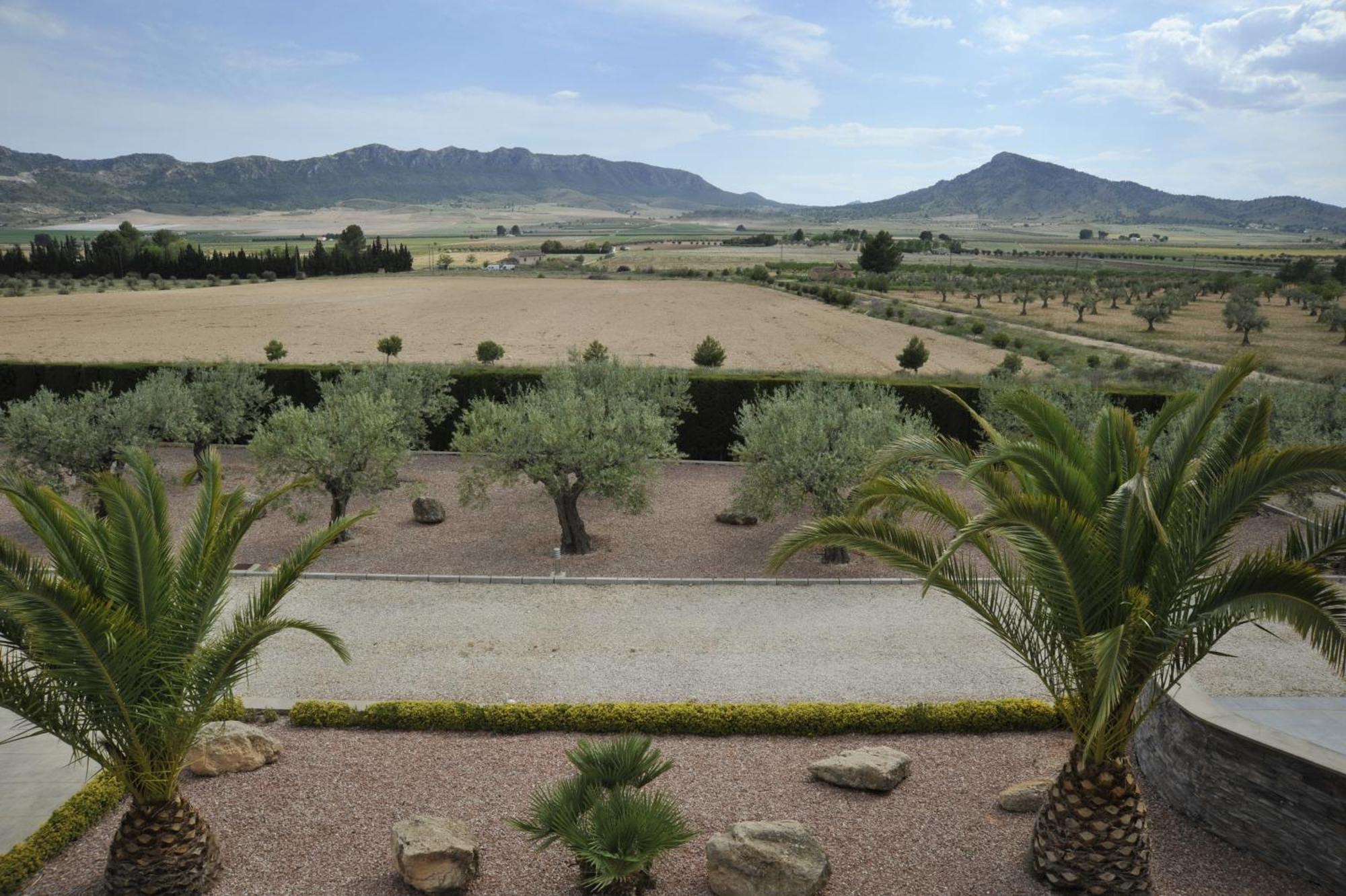 Villa Campo Premium Yecla Exterior foto